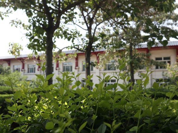 微信图片_20201209150016.jpg