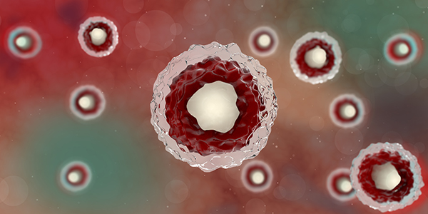 1627437742481742.jpg 13.jpg