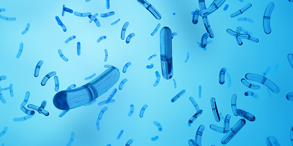 1627611129232864.jpg 20.jpg