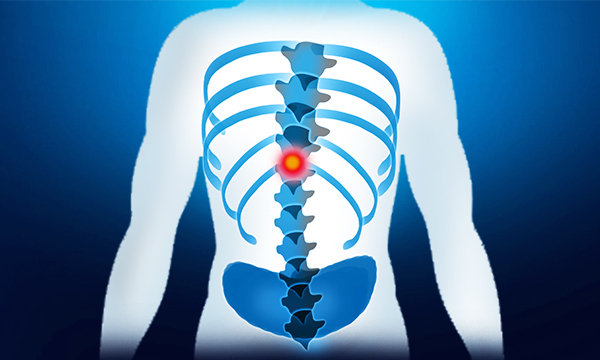 1627958528401625.jpg 401745765.jpg