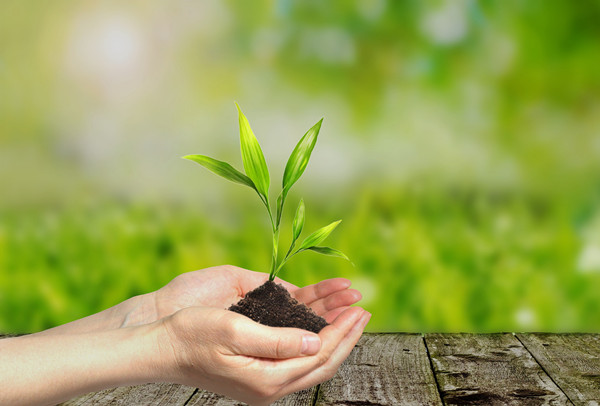 肺结核治疗新方法 肺结核治疗新方法