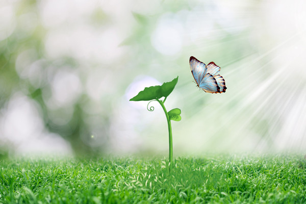 淋巴结核怎么治好