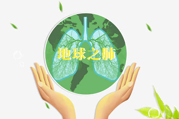 结核能治好吗