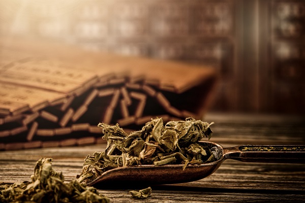 肺结核中医能治好吗,肺结核怎么治疗