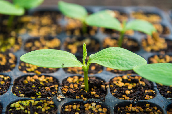 骨结核能治好吗 骨结核能治好吗