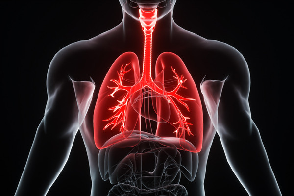 肺结核的治疗原则是什么