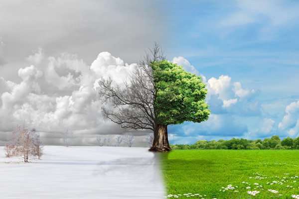 结核怎么治 结核怎么治