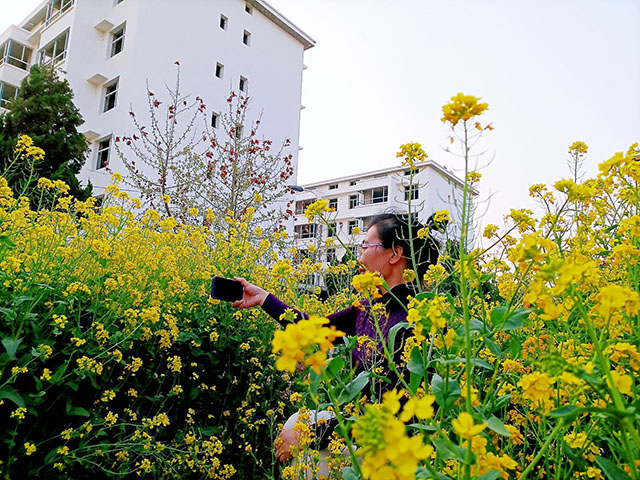 梁晓芳 《花间丽人》.jpg